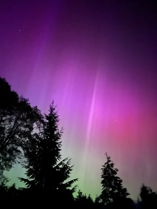 Bay Center / Willapa Bay KOA Holiday Picture 8