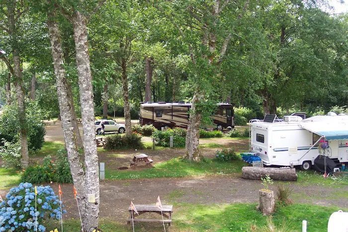 Bay Center / Willapa Bay KOA Holiday Picture 9