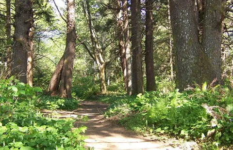 Bay Center / Willapa Bay KOA Holiday Picture 2