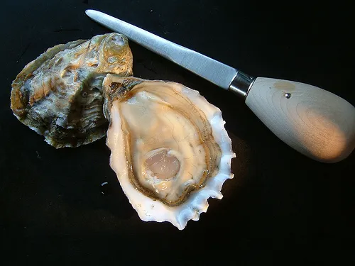 Bay Center / Willapa Bay KOA Holiday Picture 3