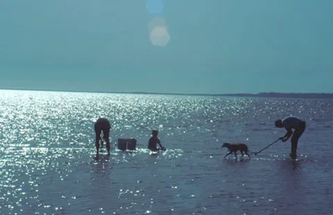 Bay Center / Willapa Bay KOA Holiday Picture 7