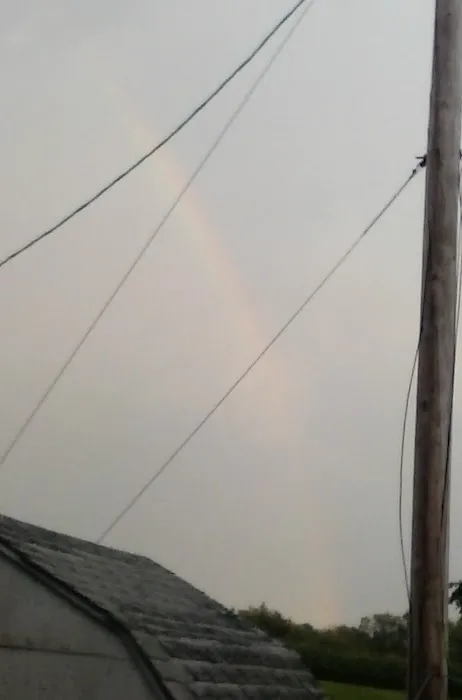 Bliley's Mobile Home Park Picture 1