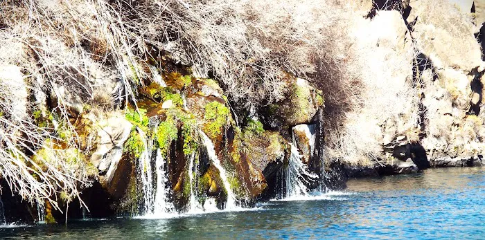 Pelton Park Store & Marina On Lake Simtustus Picture 5