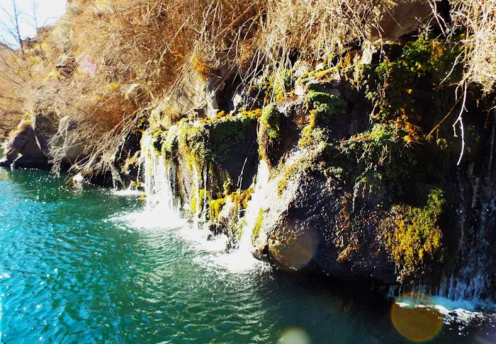 Pelton Park Store & Marina On Lake Simtustus Picture 8