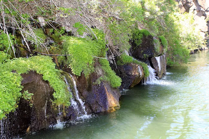 Lake Simtustus Resort Picture 8