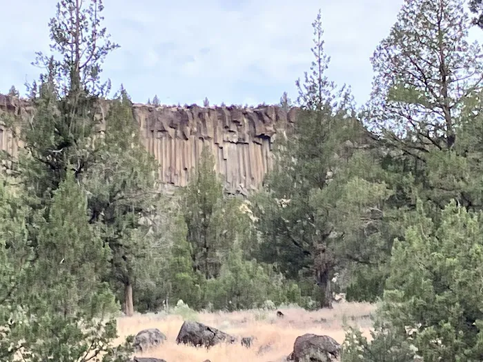 Indian Park Picture 7