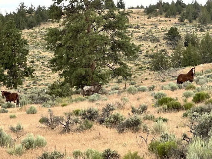 Indian Park Picture 3