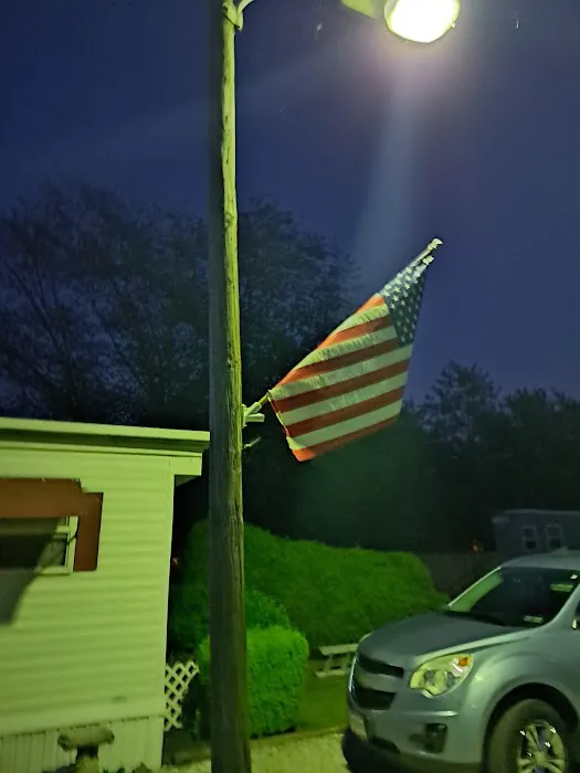 Blue Coral Picture 1