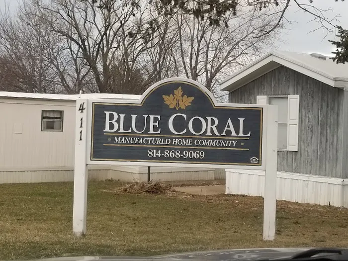 Blue Coral Picture 2