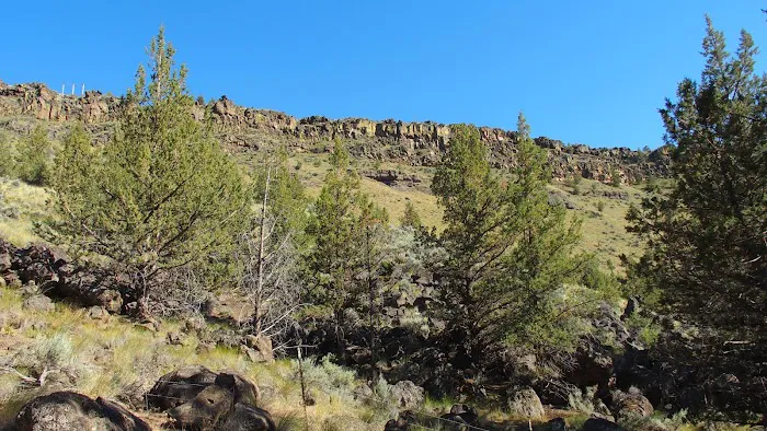 Deschutes River Campground, A, B & C Loops Picture 3