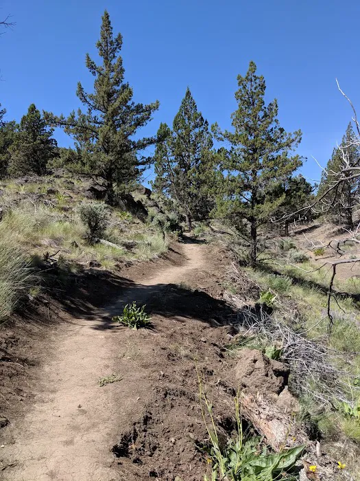 Deschutes River Campground, A, B & C Loops Picture 10