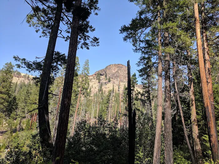 Monty Campground Picture 9