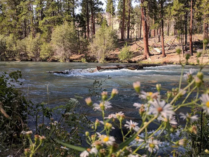 Monty Campground Picture 10