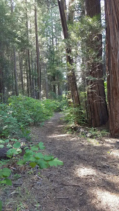 Monty Campground Picture 4