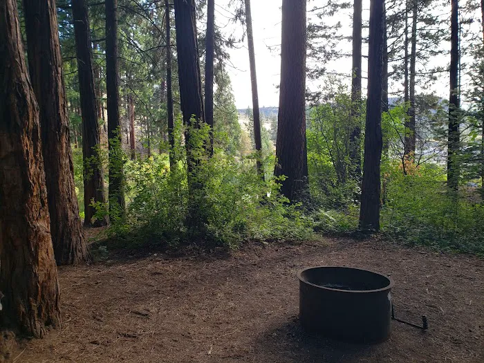 Perry South Campground Picture 5