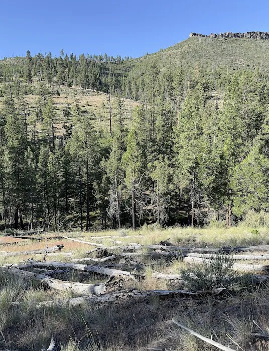 Perry South Campground Picture 3
