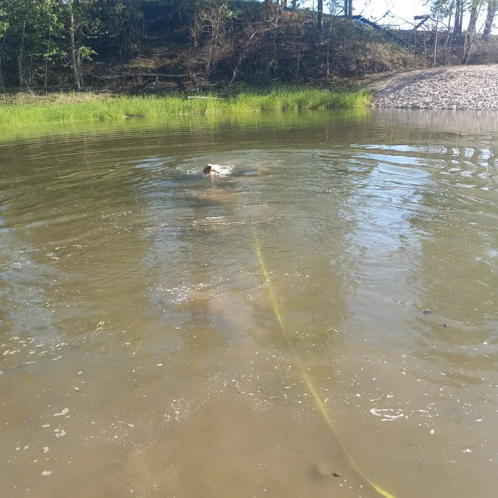 Cloverleaf Campground Picture 1