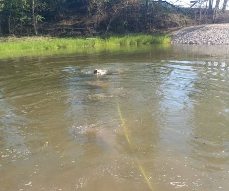 Cloverleaf Campground