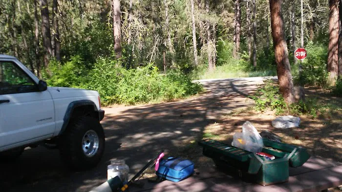 Snag Cove Campground Picture 1