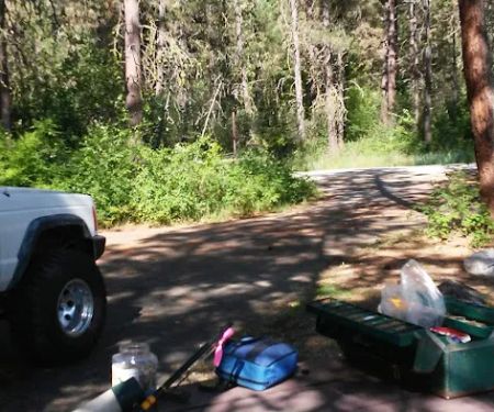 Snag Cove Campground
