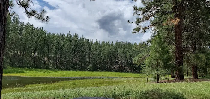 Summer Island Campground Picture 4