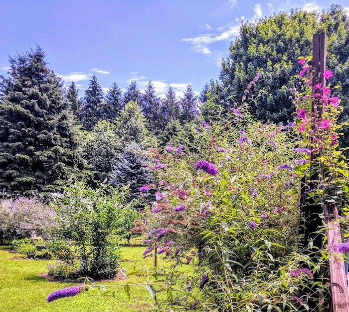 Cross Station Road Mobile Home Park Picture 7