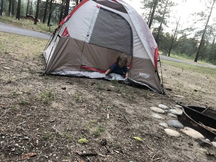 Evans Group Campground Picture 9
