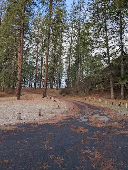 North Gorge Campground Picture 7