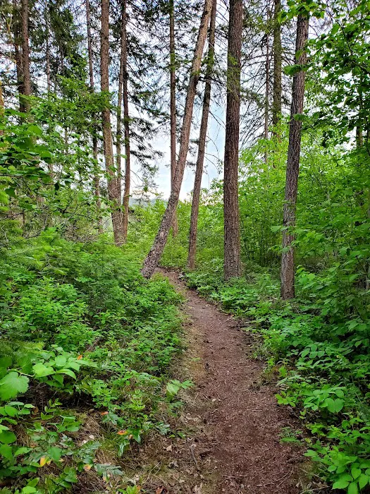 Pierre Lake Campground Picture 4
