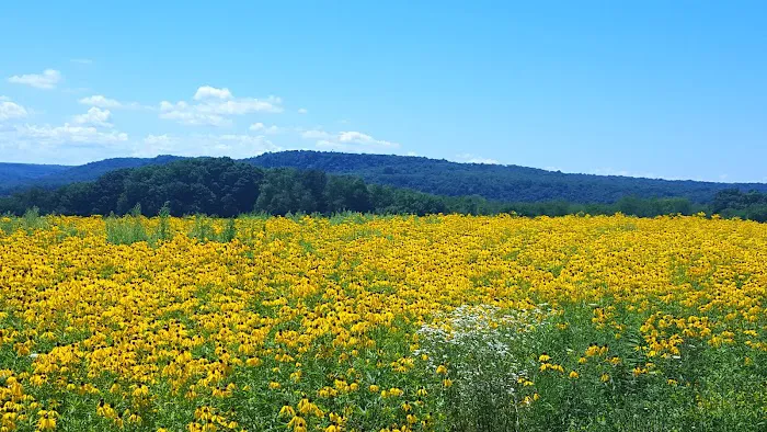 Route 322 Mobile Home Park Picture 1