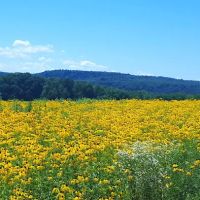 Route 322 Mobile Home Park ico