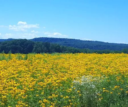 Route 322 Mobile Home Park