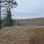 South Shore Boat In Campsite