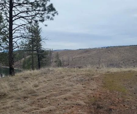 South Shore Boat In Campsite