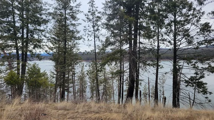 South Shore Boat In Campsite Picture 3