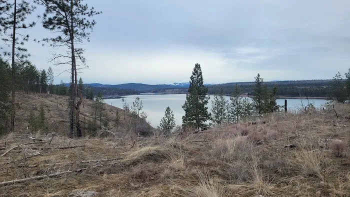 South Shore Boat In Campsite Picture 4