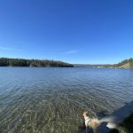 Lake Spokane Campground