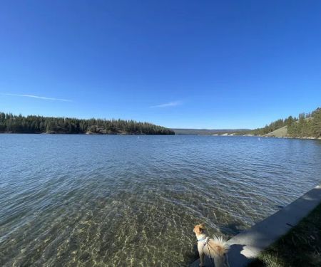 Lake Spokane Campground