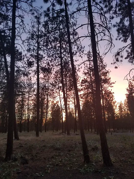 Lake Spokane Campground Picture 7