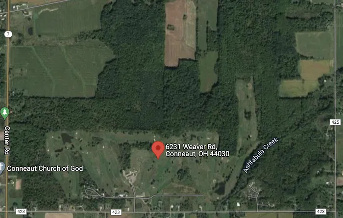 Black Rock Adventure Park Picture 9