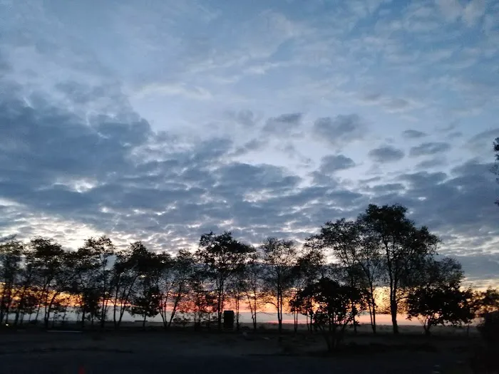 The Oasis Farm Picture 3