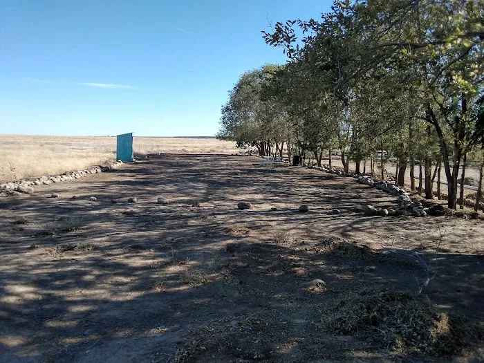 The Oasis Farm Picture 8