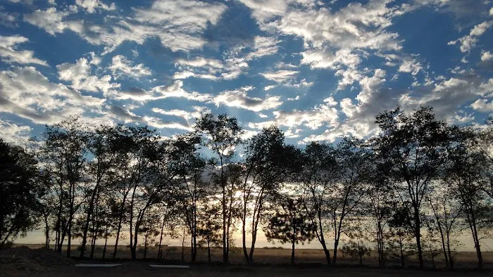 The Oasis Farm Picture 2