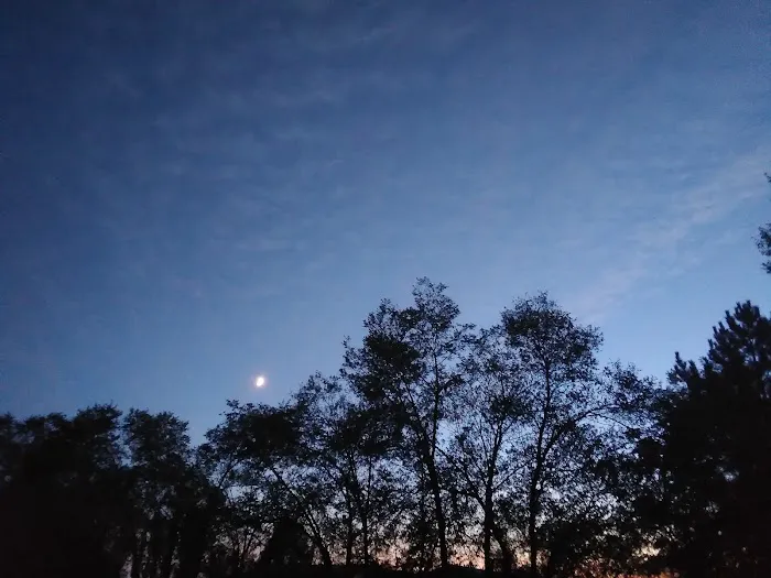 The Oasis Farm Picture 9