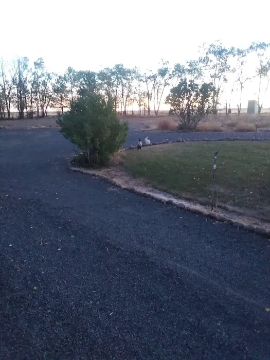 The Oasis Farm Picture 7