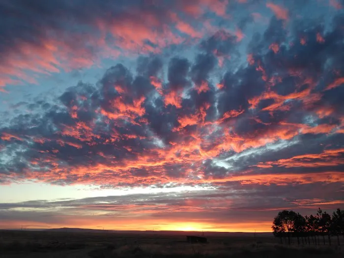 The Oasis Farm Picture 1