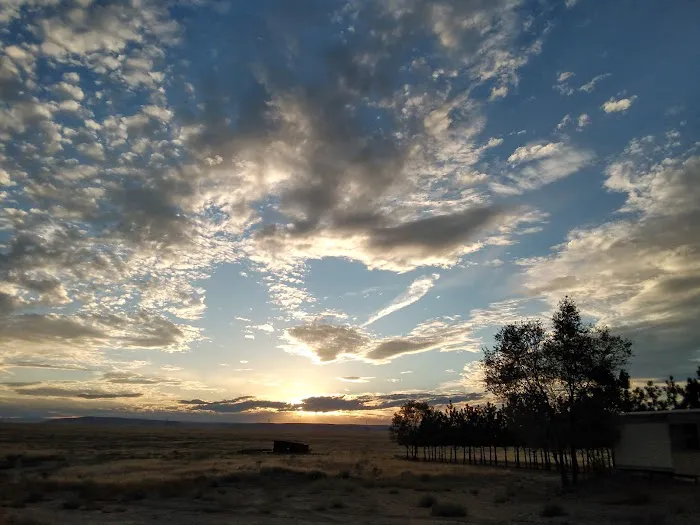 The Oasis Farm Picture 5