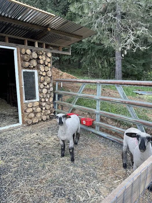 Slow Your Roll Abodes Glamping Picture 9