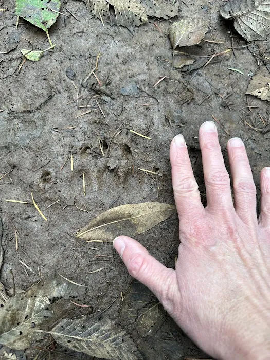 Slow Your Roll Abodes Glamping Picture 5