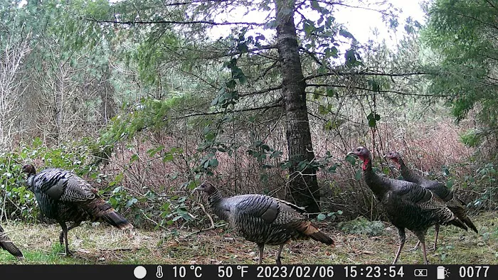 Slow Your Roll Abodes Glamping Picture 7